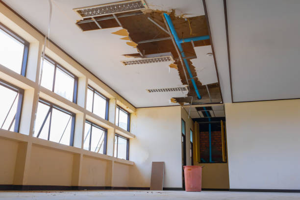Best Carpet water damage restoration  in Kokomo, IN