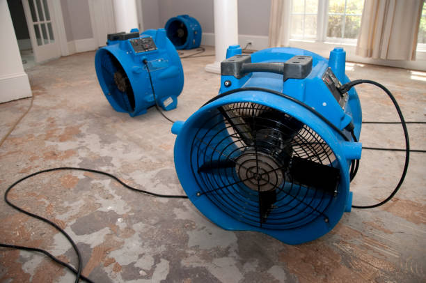 Best Water damage restoration services  in Kokomo, IN
