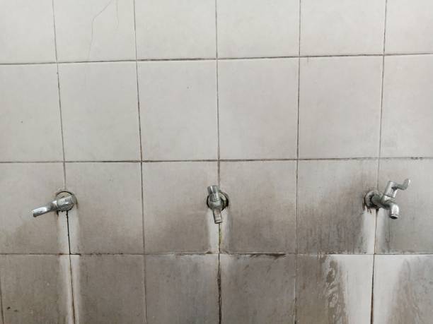 Best Water damage contractors near me  in Kokomo, IN
