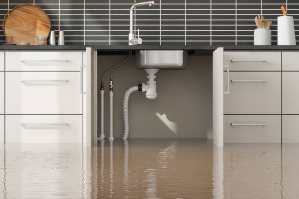 Best Ceiling water damage repair  in Kokomo, IN