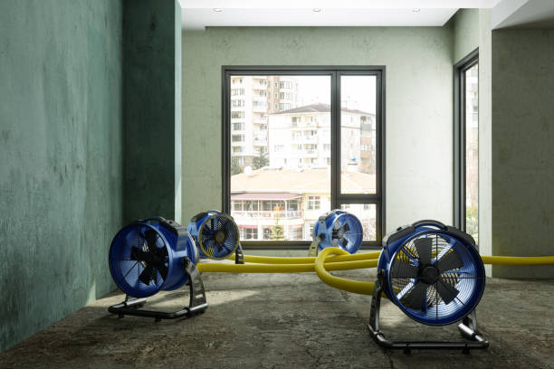Best Water damage restoration near me  in Kokomo, IN